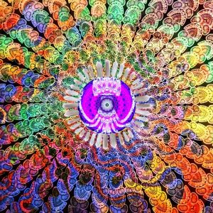 alt="cover album Calamari For Lunch"/