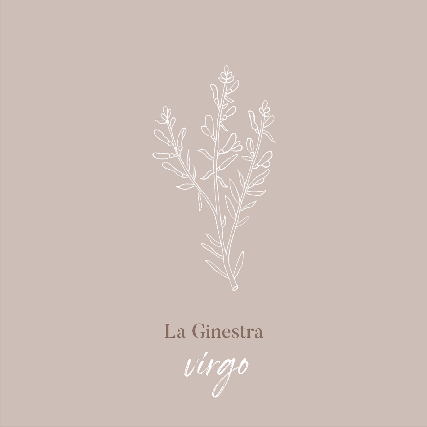 copertina del disco La Ginestra Virgo