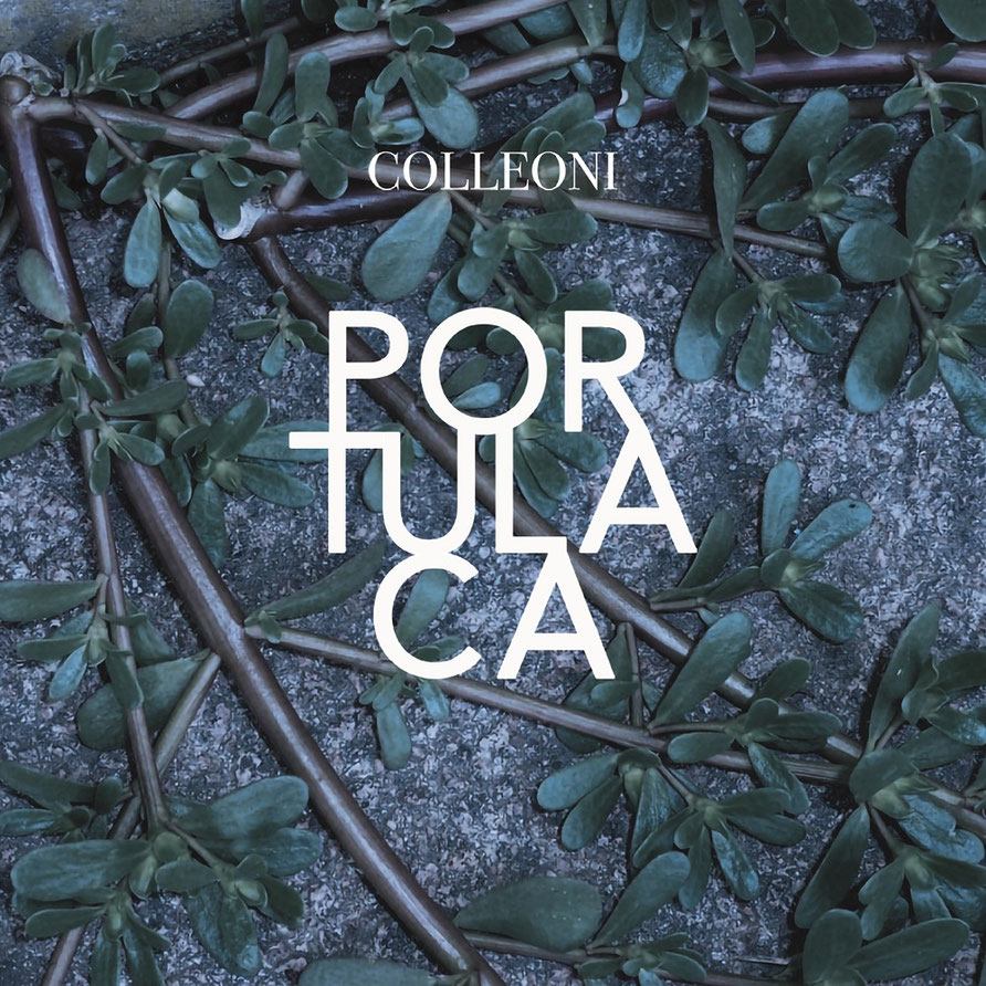 Copertina album Colleoni Portulaca