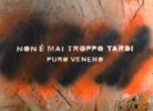 Copertina album Puro Vento vernice spray su legno