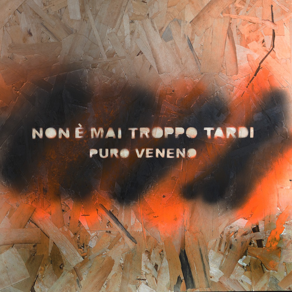 Copertina album Puro Vento vernice spray su legno